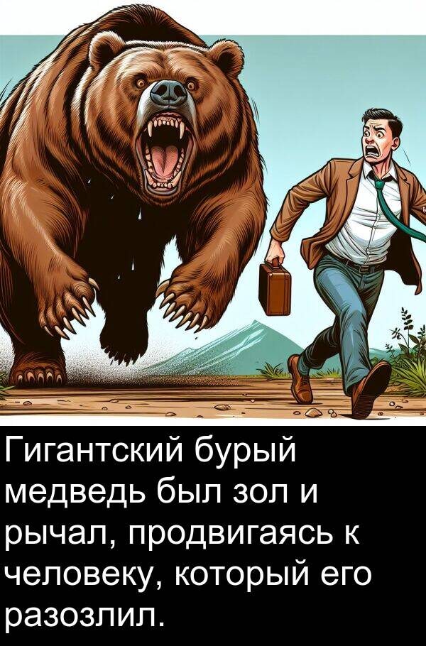 продвигаясь: Гигантский бурый медведь был зол и рычал, продвигаясь к человеку, который его разозлил.
