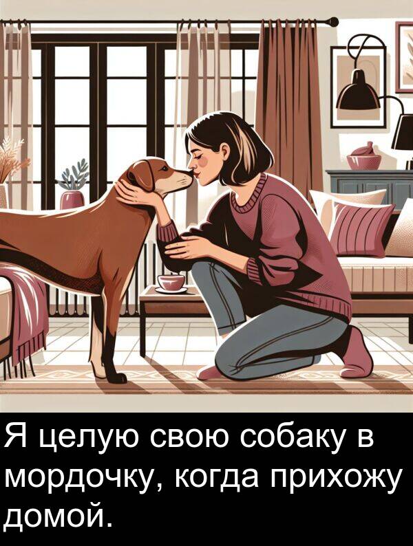 когда: Я целую свою собаку в мордочку, когда прихожу домой.