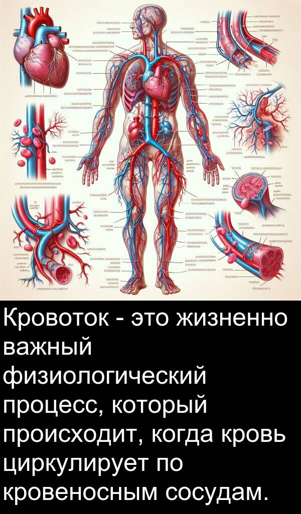 кровь: Кровоток - это жизненно важный физиологический процесс, который происходит, когда кровь циркулирует по кровеносным сосудам.