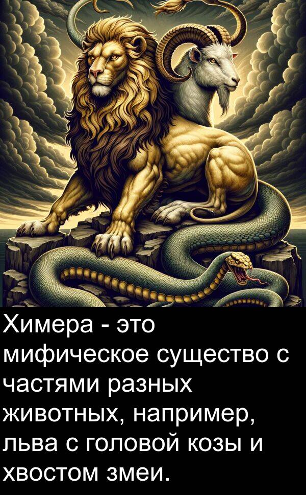 козы: Химера - это мифическое существо с частями разных животных, например, льва с головой козы и хвостом змеи.