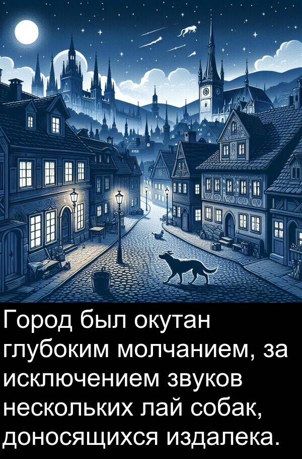 лай: Город был окутан глубоким молчанием, за исключением звуков нескольких лай собак, доносящихся издалека.