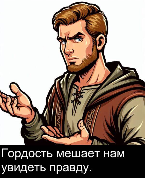 правду: Гордость мешает нам увидеть правду.