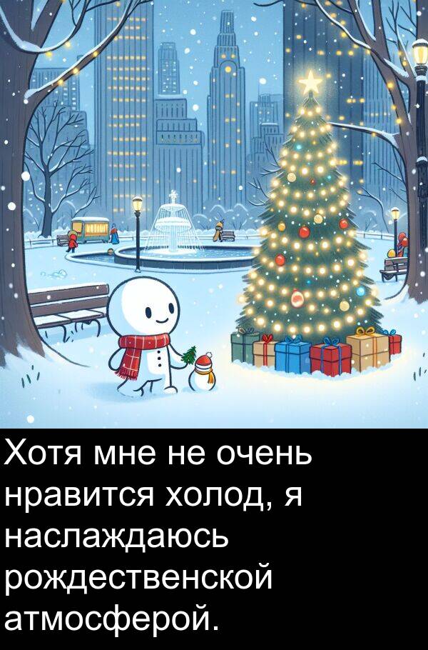 холод: Хотя мне не очень нравится холод, я наслаждаюсь рождественской атмосферой.