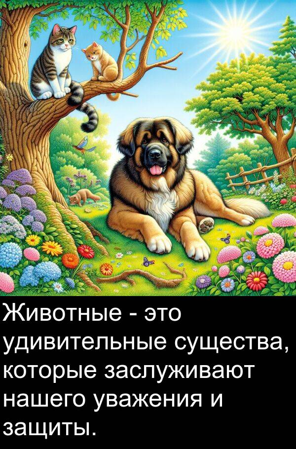 существа: Животные - это удивительные существа, которые заслуживают нашего уважения и защиты.