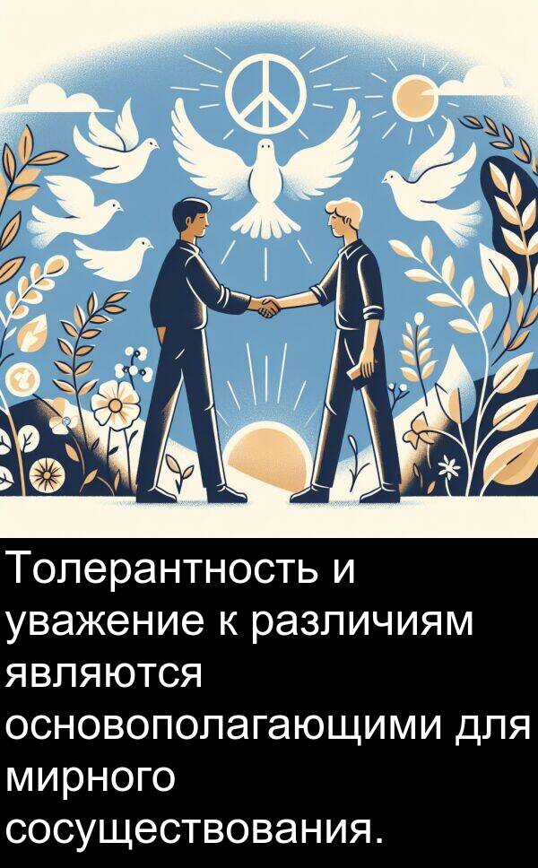 уважение: Толерантность и уважение к различиям являются основополагающими для мирного сосуществования.