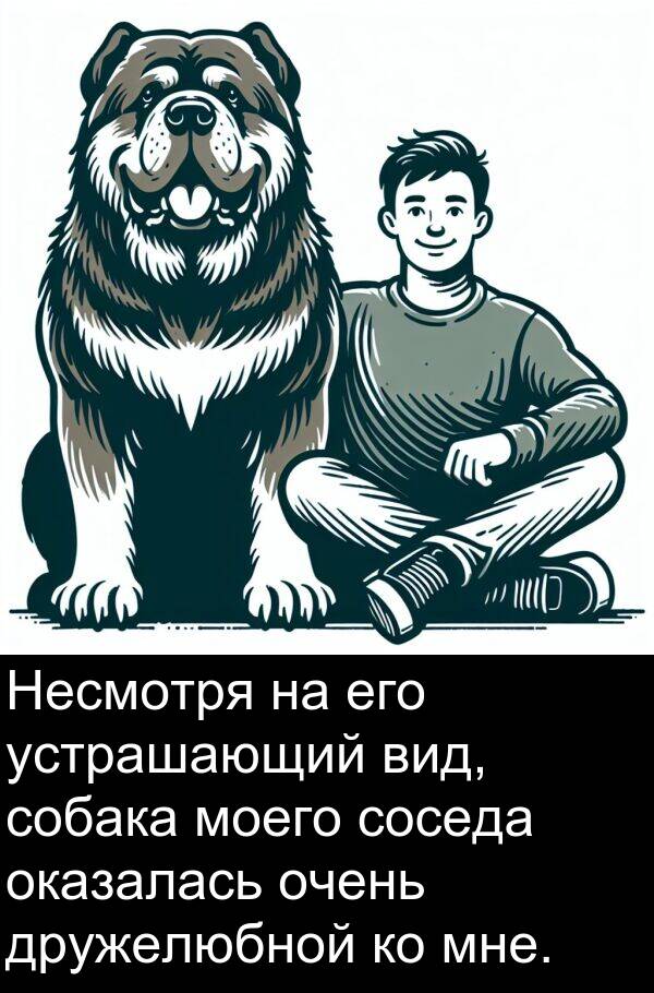 устрашающий: Несмотря на его устрашающий вид, собака моего соседа оказалась очень дружелюбной ко мне.