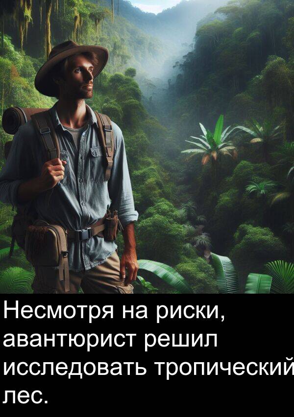 авантюрист: Несмотря на риски, авантюрист решил исследовать тропический лес.
