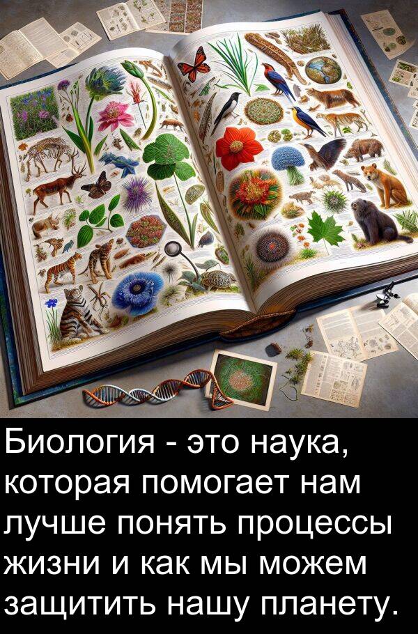 процессы: Биология - это наука, которая помогает нам лучше понять процессы жизни и как мы можем защитить нашу планету.