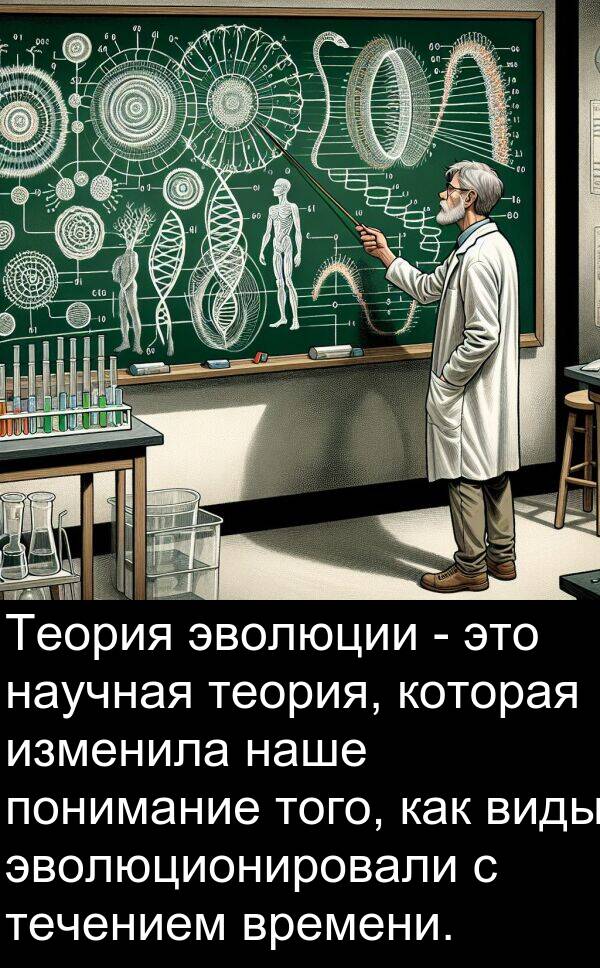 времени: Теория эволюции - это научная теория, которая изменила наше понимание того, как виды эволюционировали с течением времени.