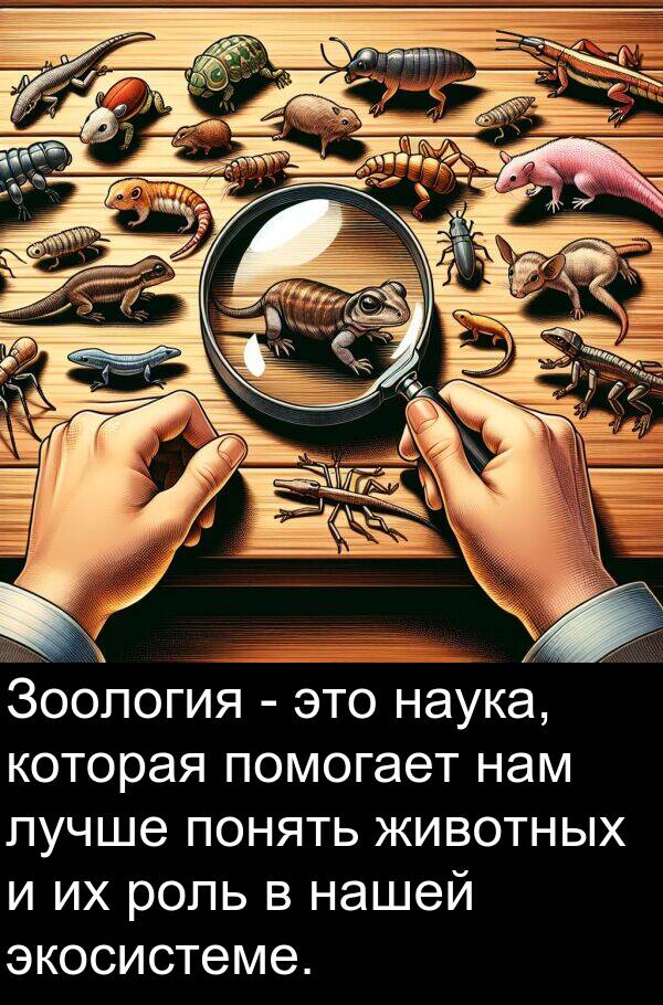 животных: Зоология - это наука, которая помогает нам лучше понять животных и их роль в нашей экосистеме.