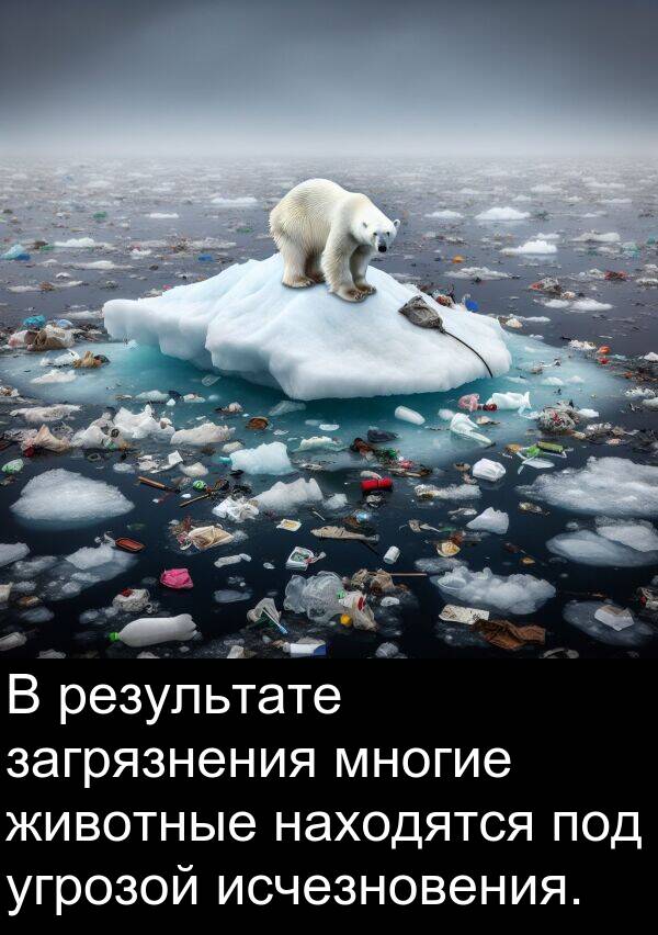 животные: В результате загрязнения многие животные находятся под угрозой исчезновения.