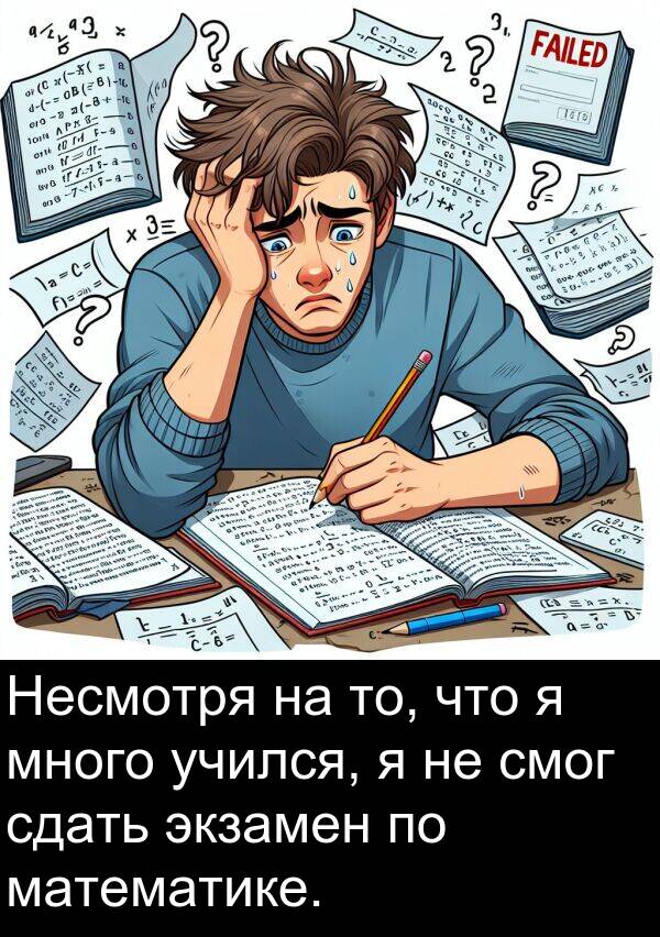 учился: Несмотря на то, что я много учился, я не смог сдать экзамен по математике.
