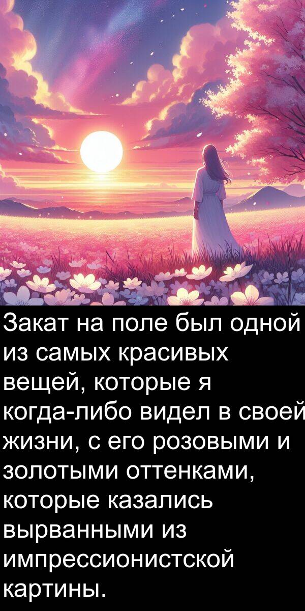 красивых: Закат на поле был одной из самых красивых вещей, которые я когда-либо видел в своей жизни, с его розовыми и золотыми оттенками, которые казались вырванными из импрессионистской картины.