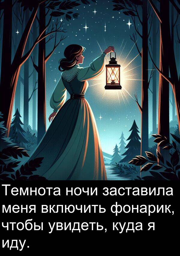 куда: Темнота ночи заставила меня включить фонарик, чтобы увидеть, куда я иду.