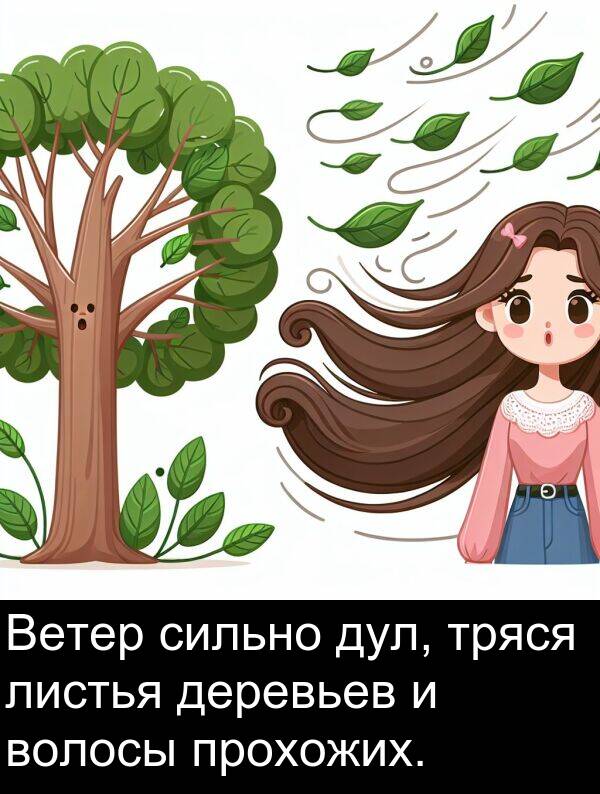 прохожих: Ветер сильно дул, тряся листья деревьев и волосы прохожих.