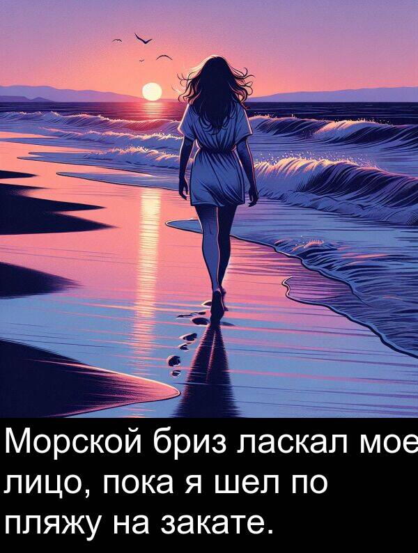 шел: Морской бриз ласкал мое лицо, пока я шел по пляжу на закате.