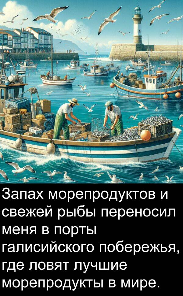 свежей: Запах морепродуктов и свежей рыбы переносил меня в порты галисийского побережья, где ловят лучшие морепродукты в мире.