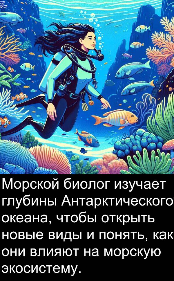 экосистему: Морской биолог изучает глубины Антарктического океана, чтобы открыть новые виды и понять, как они влияют на морскую экосистему.