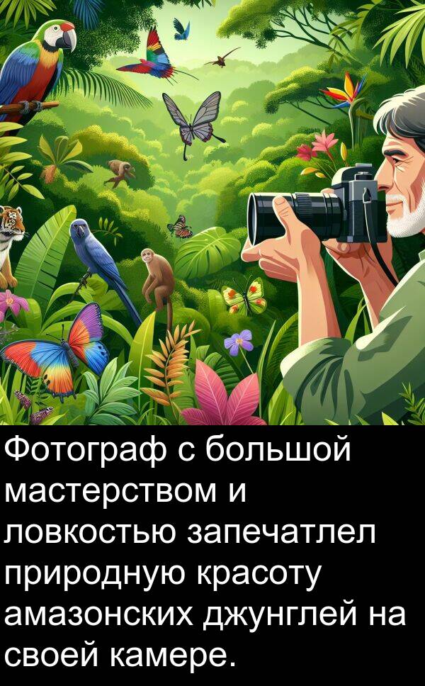 природную: Фотограф с большой мастерством и ловкостью запечатлел природную красоту амазонских джунглей на своей камере.