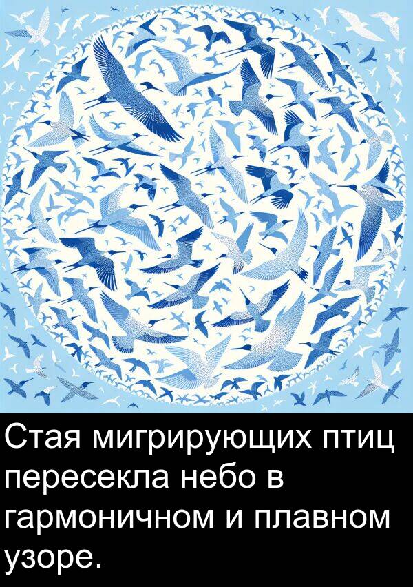 узоре: Стая мигрирующих птиц пересекла небо в гармоничном и плавном узоре.