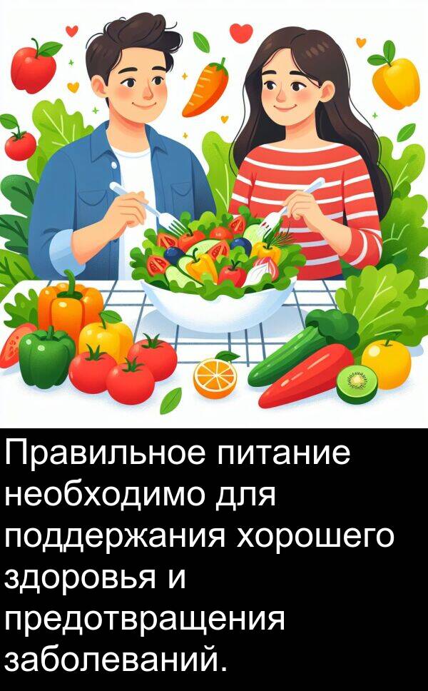 хорошего: Правильное питание необходимо для поддержания хорошего здоровья и предотвращения заболеваний.