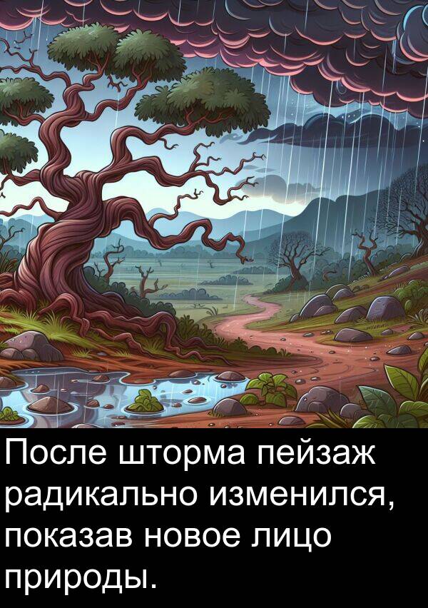 природы: После шторма пейзаж радикально изменился, показав новое лицо природы.