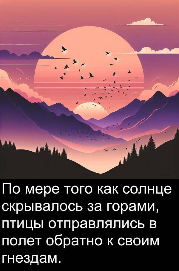 своим: По мере того как солнце скрывалось за горами, птицы отправлялись в полет обратно к своим гнездам.