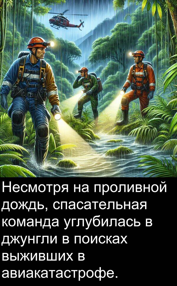 проливной: Несмотря на проливной дождь, спасательная команда углубилась в джунгли в поисках выживших в авиакатастрофе.