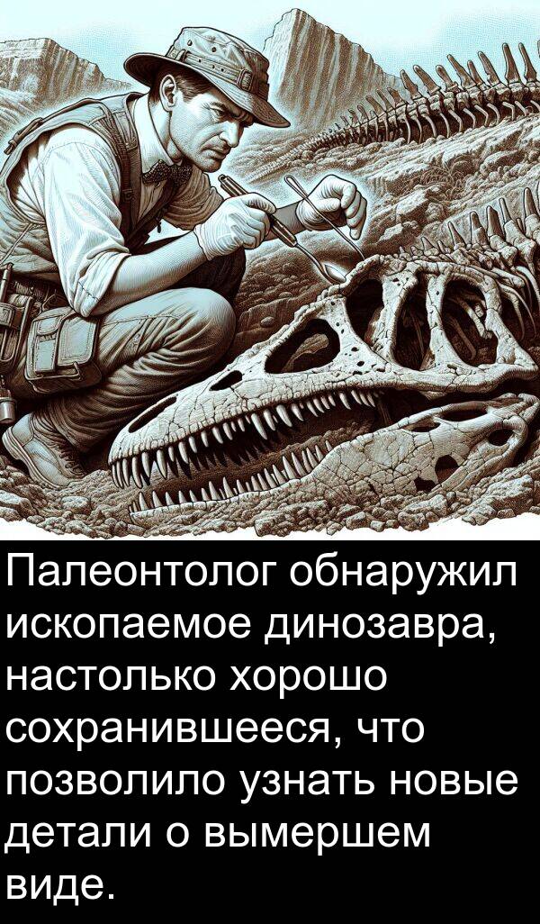узнать: Палеонтолог обнаружил ископаемое динозавра, настолько хорошо сохранившееся, что позволило узнать новые детали о вымершем виде.