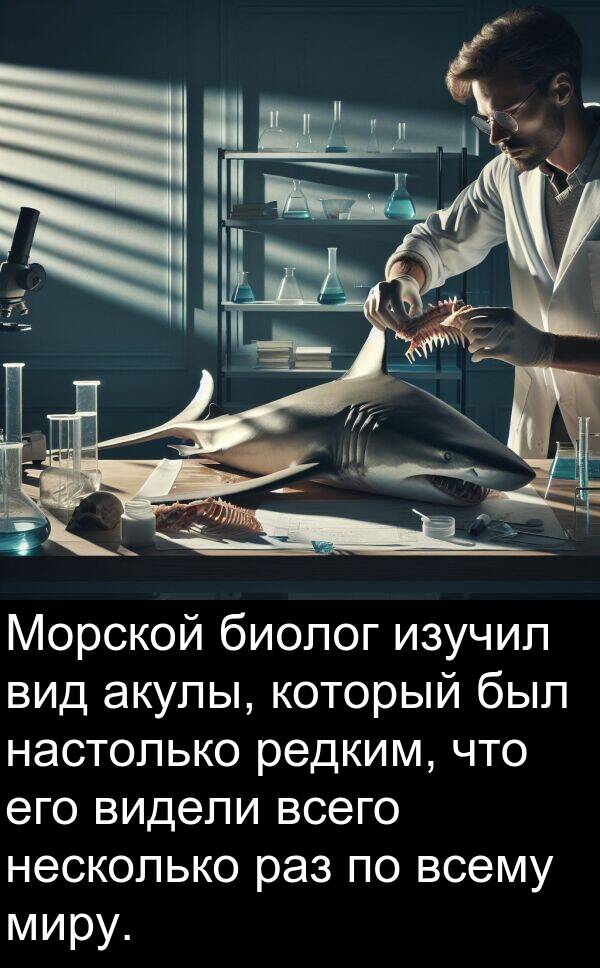 всего: Морской биолог изучил вид акулы, который был настолько редким, что его видели всего несколько раз по всему миру.