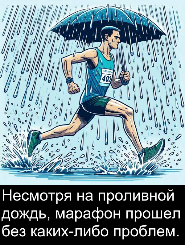 прошел: Несмотря на проливной дождь, марафон прошел без каких-либо проблем.