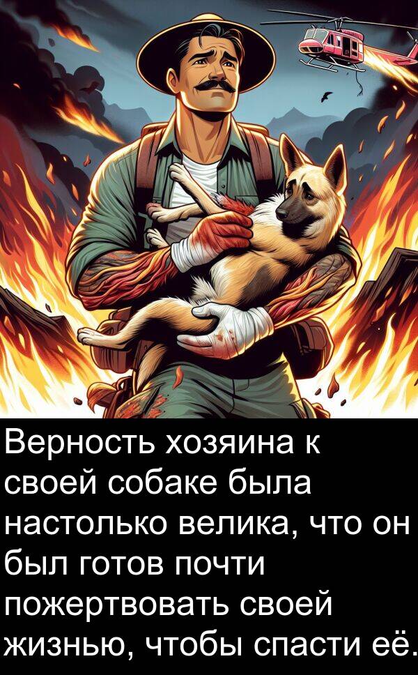 почти: Верность хозяина к своей собаке была настолько велика, что он был готов почти пожертвовать своей жизнью, чтобы спасти её.