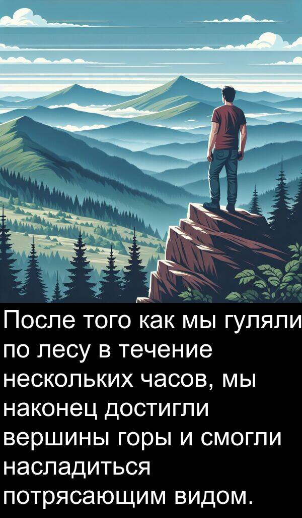 наконец: После того как мы гуляли по лесу в течение нескольких часов, мы наконец достигли вершины горы и смогли насладиться потрясающим видом.