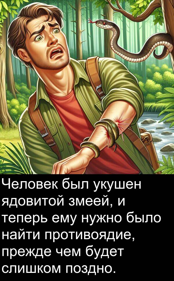 противоядие: Человек был укушен ядовитой змеей, и теперь ему нужно было найти противоядие, прежде чем будет слишком поздно.