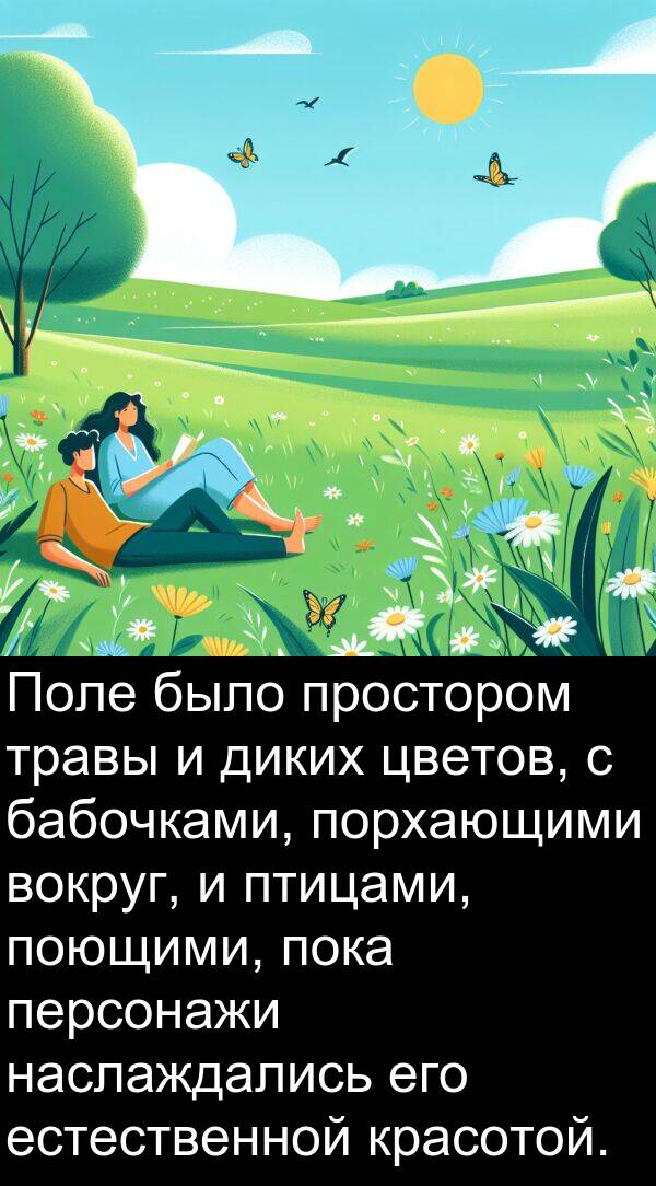 поющими: Поле было простором травы и диких цветов, с бабочками, порхающими вокруг, и птицами, поющими, пока персонажи наслаждались его естественной красотой.