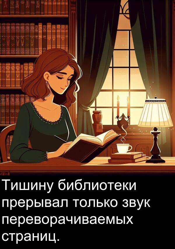 прерывал: Тишину библиотеки прерывал только звук переворачиваемых страниц.
