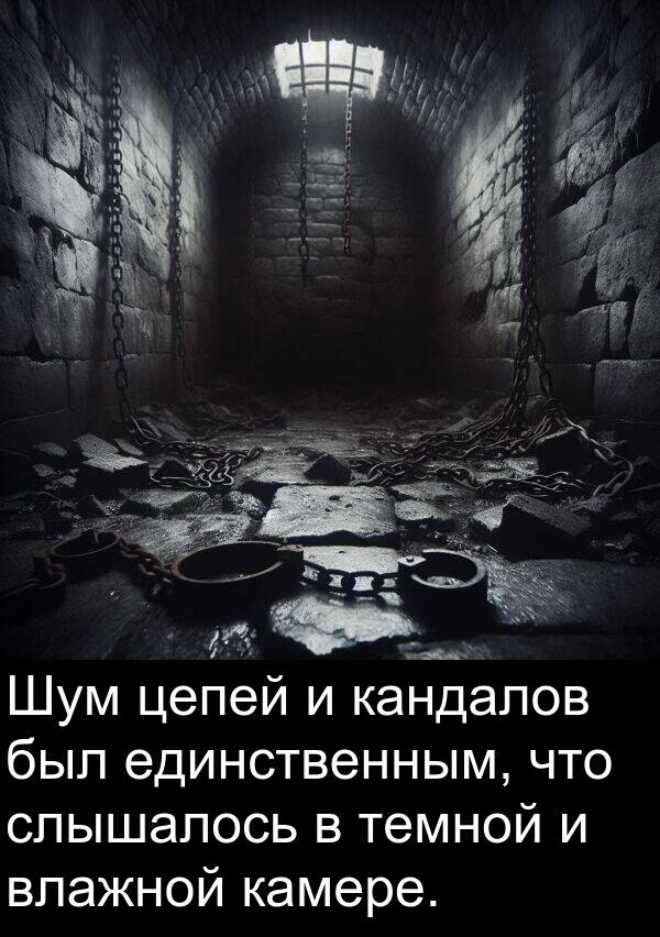 цепей: Шум цепей и кандалов был единственным, что слышалось в темной и влажной камере.
