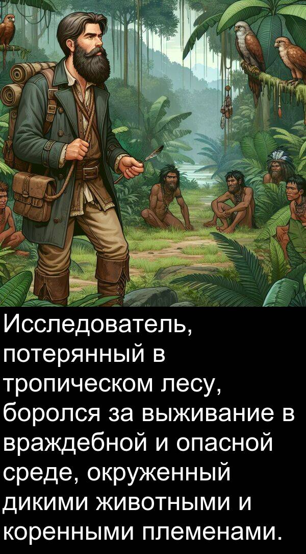 потерянный: Исследователь, потерянный в тропическом лесу, боролся за выживание в враждебной и опасной среде, окруженный дикими животными и коренными племенами.