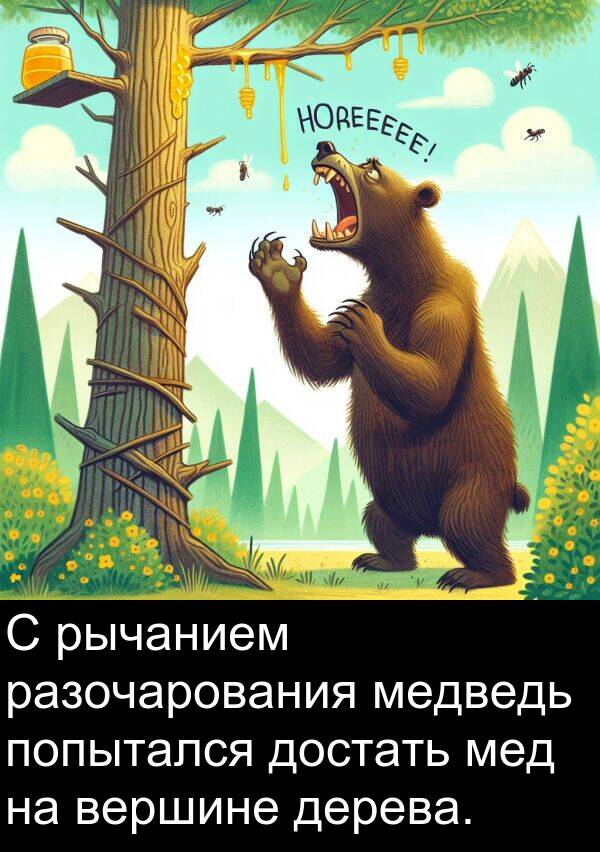 вершине: С рычанием разочарования медведь попытался достать мед на вершине дерева.