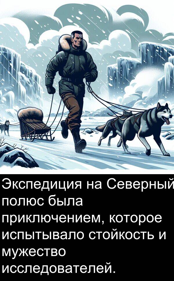 полюс: Экспедиция на Северный полюс была приключением, которое испытывало стойкость и мужество исследователей.