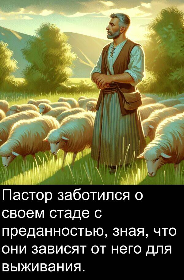 своем: Пастор заботился о своем стаде с преданностью, зная, что они зависят от него для выживания.