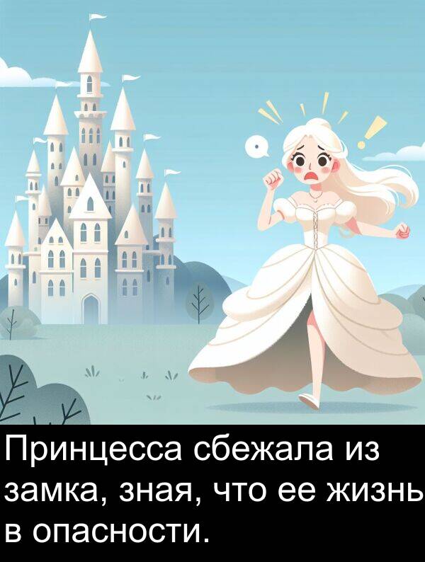 сбежала: Принцесса сбежала из замка, зная, что ее жизнь в опасности.