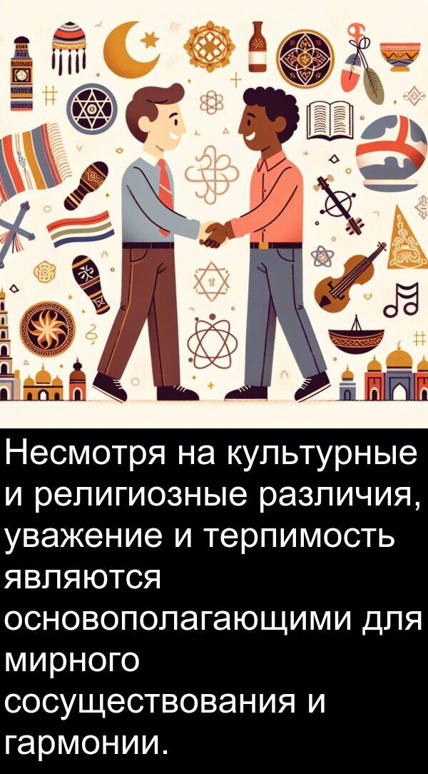 культурные: Несмотря на культурные и религиозные различия, уважение и терпимость являются основополагающими для мирного сосуществования и гармонии.