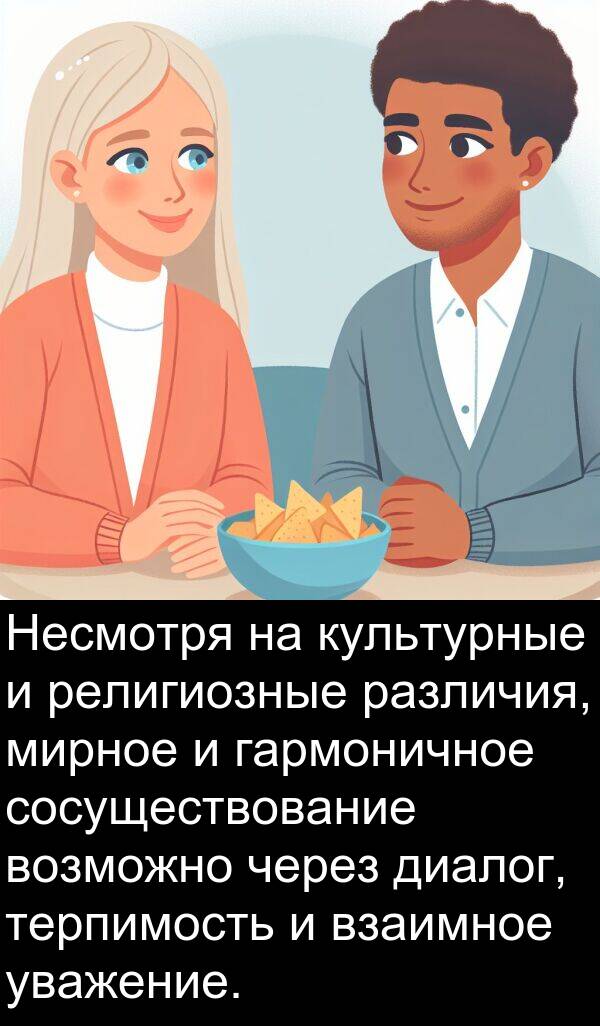 культурные: Несмотря на культурные и религиозные различия, мирное и гармоничное сосуществование возможно через диалог, терпимость и взаимное уважение.