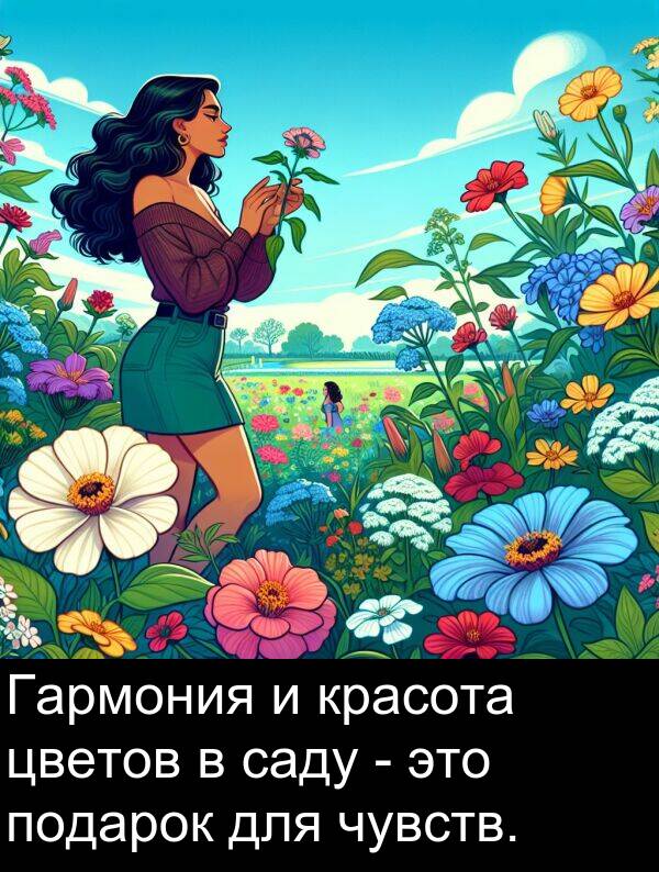 красота: Гармония и красота цветов в саду - это подарок для чувств.
