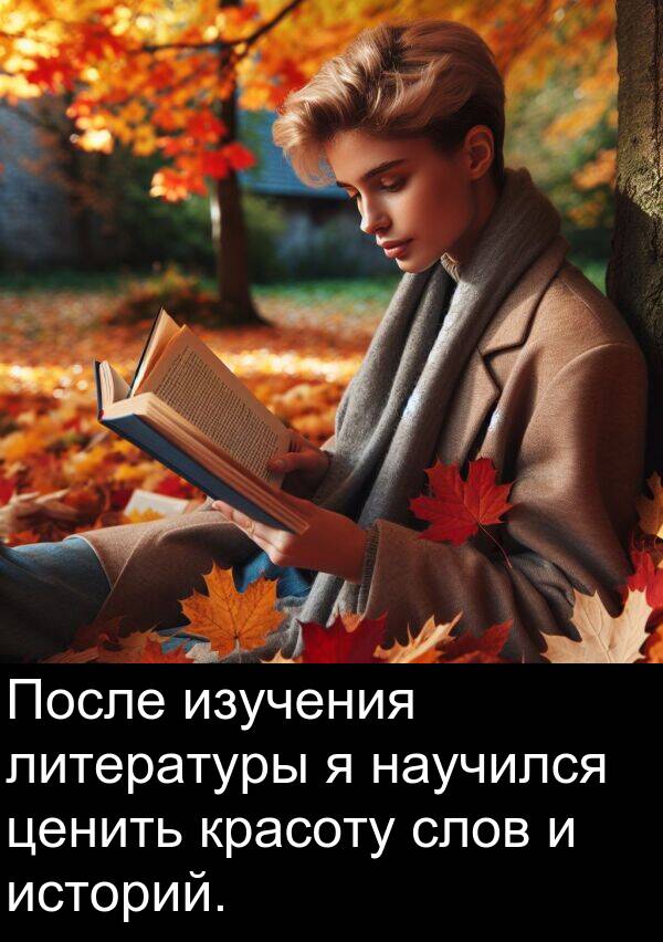 красоту: После изучения литературы я научился ценить красоту слов и историй.
