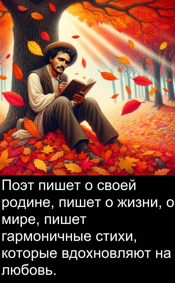 стихи: Поэт пишет о своей родине, пишет о жизни, о мире, пишет гармоничные стихи, которые вдохновляют на любовь.