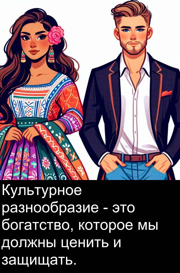 которое: Культурное разнообразие - это богатство, которое мы должны ценить и защищать.
