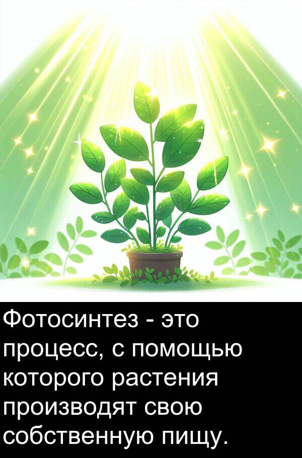 которого: Фотосинтез - это процесс, с помощью которого растения производят свою собственную пищу.