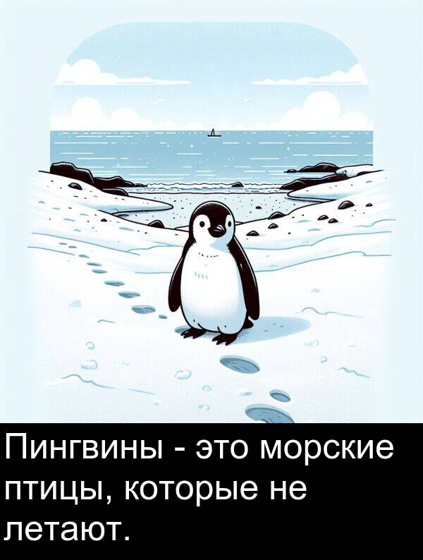 которые: Пингвины - это морские птицы, которые не летают.